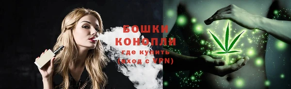 мяу мяу кристалл Гусь-Хрустальный