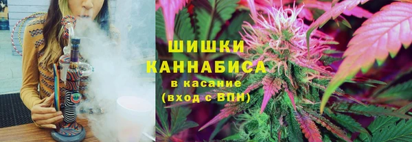 a pvp Гусев