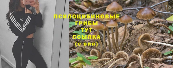 мяу мяу кристалл Гусь-Хрустальный