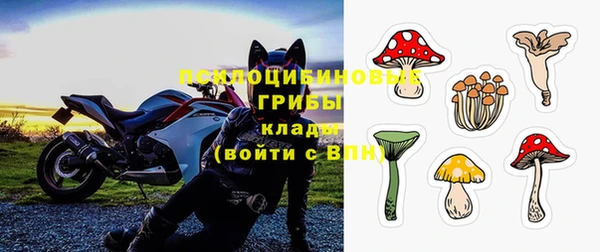 a pvp Гусев