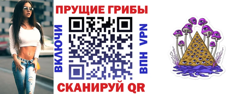 KRAKEN ссылки  Тосно  Псилоцибиновые грибы Magic Shrooms 