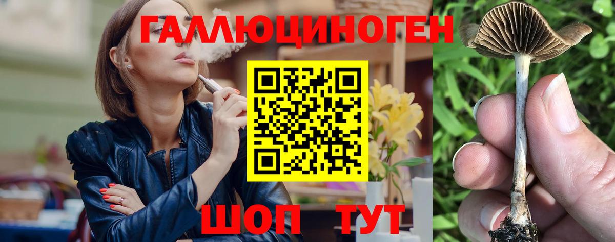 сколько стоит  Галлюциногенные грибы Magic Shrooms  Вход с VPN  Тосно 