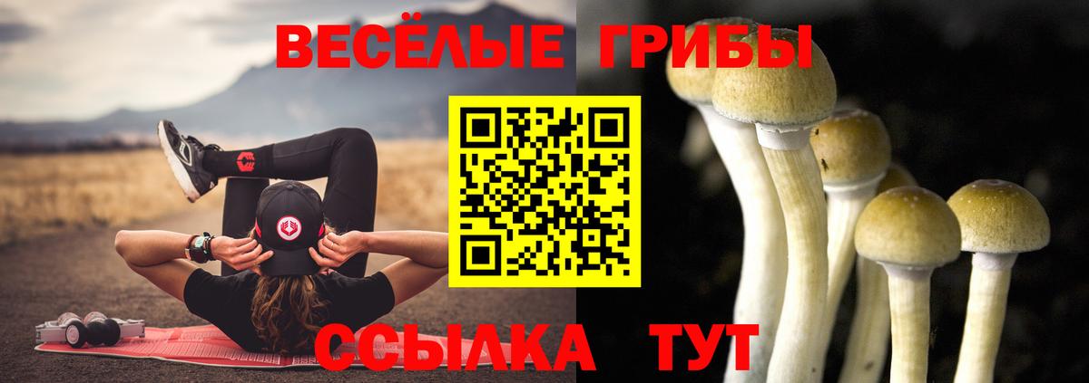 Псилоцибиновые грибы ЛСД Тосно